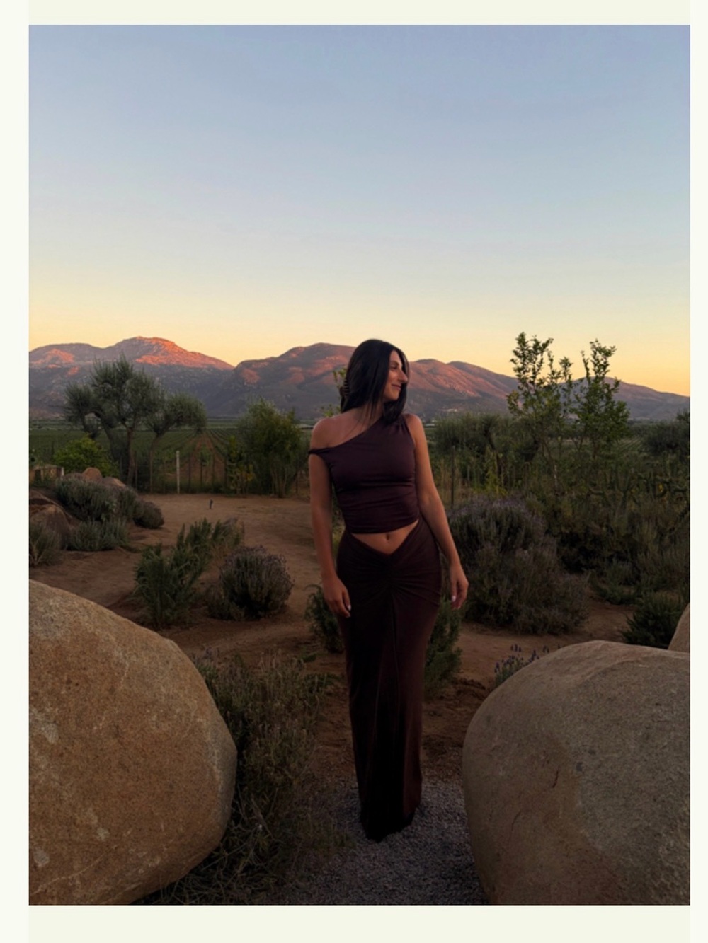 Ronny Kobo Chase Maxi Skirt in Brown